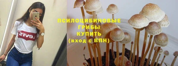 ALPHA PVP Дмитриев