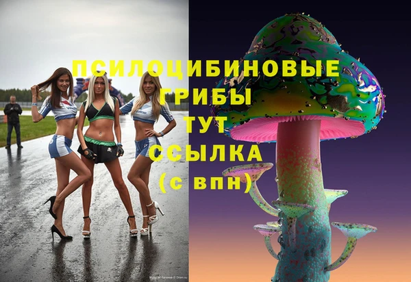 хмурый Дмитровск