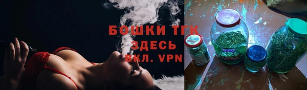 хмурый Дмитровск