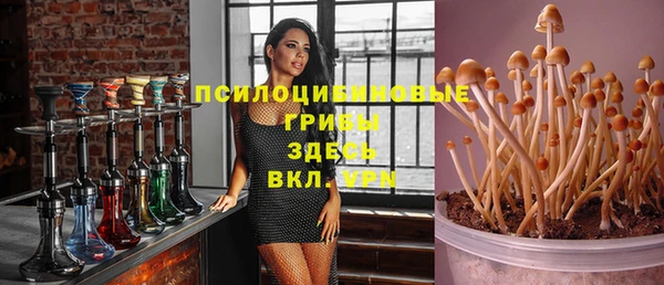 хмурый Дмитровск