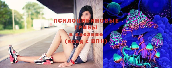 дмт Гусь-Хрустальный