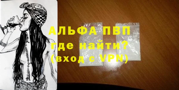 гидра Гусиноозёрск