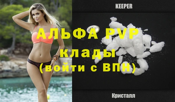 хмурый Дмитровск