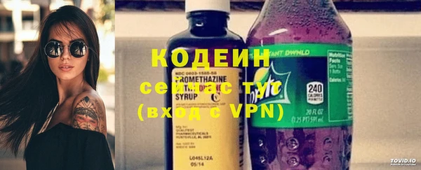 хмурый Дмитровск
