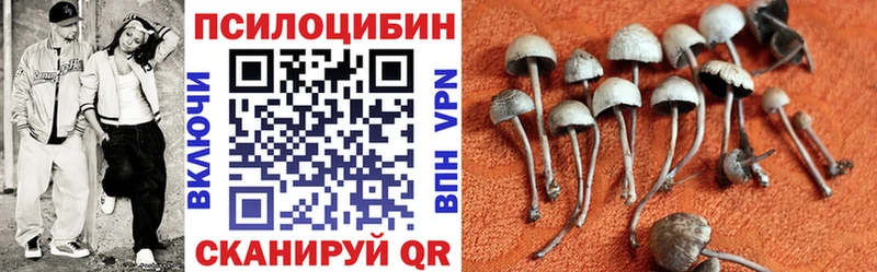 цена наркотик  Великий Новгород  Галлюциногенные грибы Magic Shrooms 